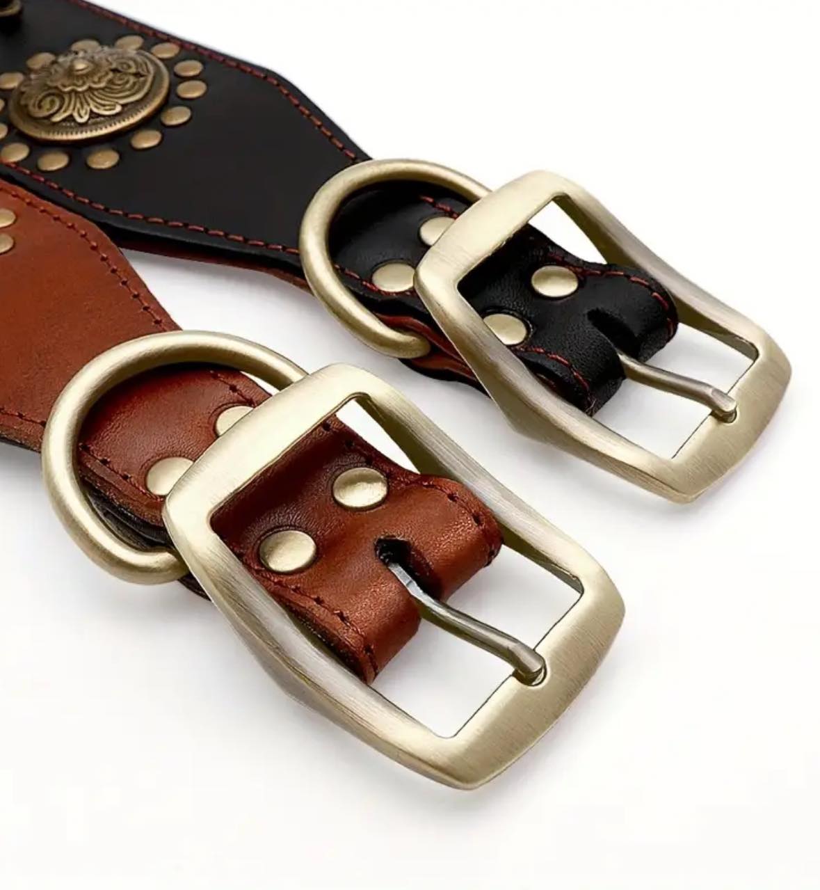 Spiked Leather Collar