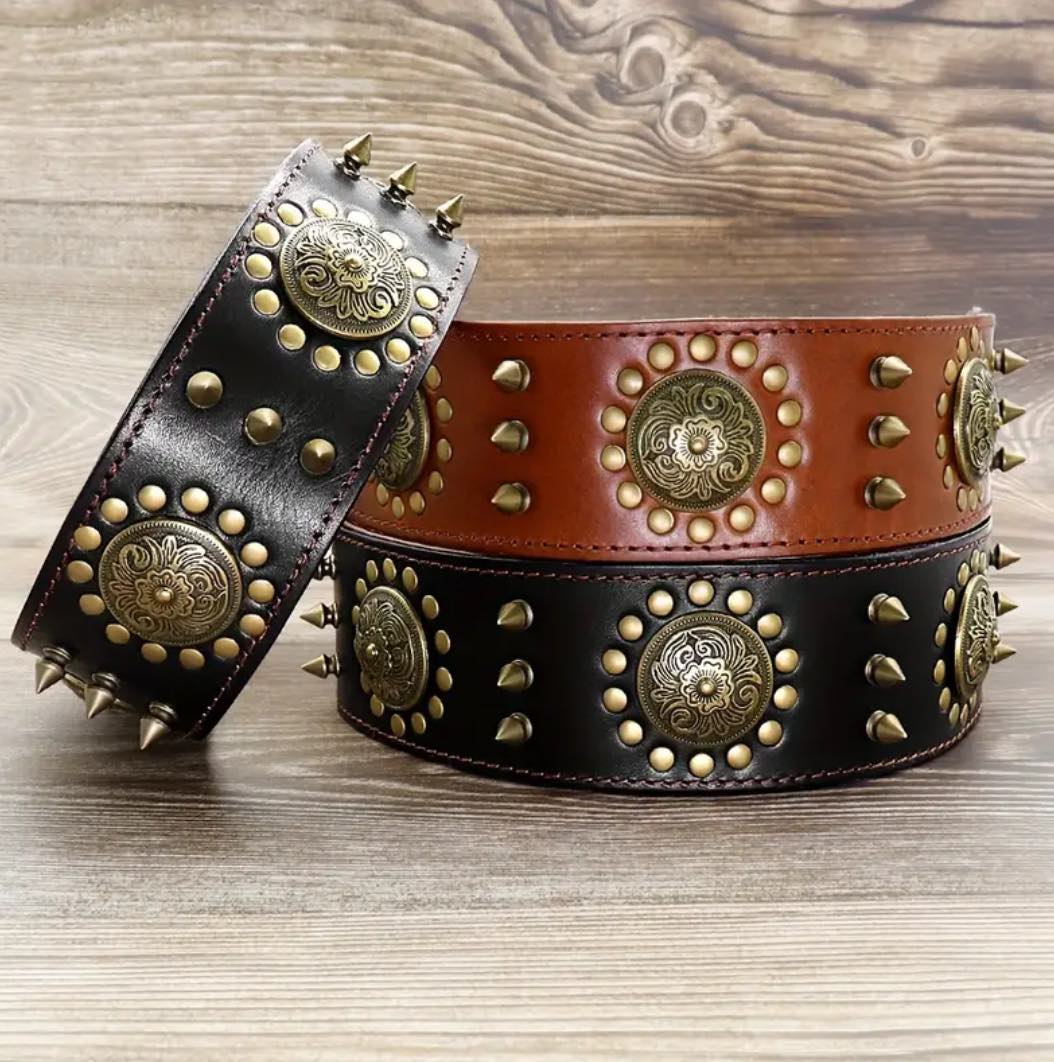 Spiked Leather Collar