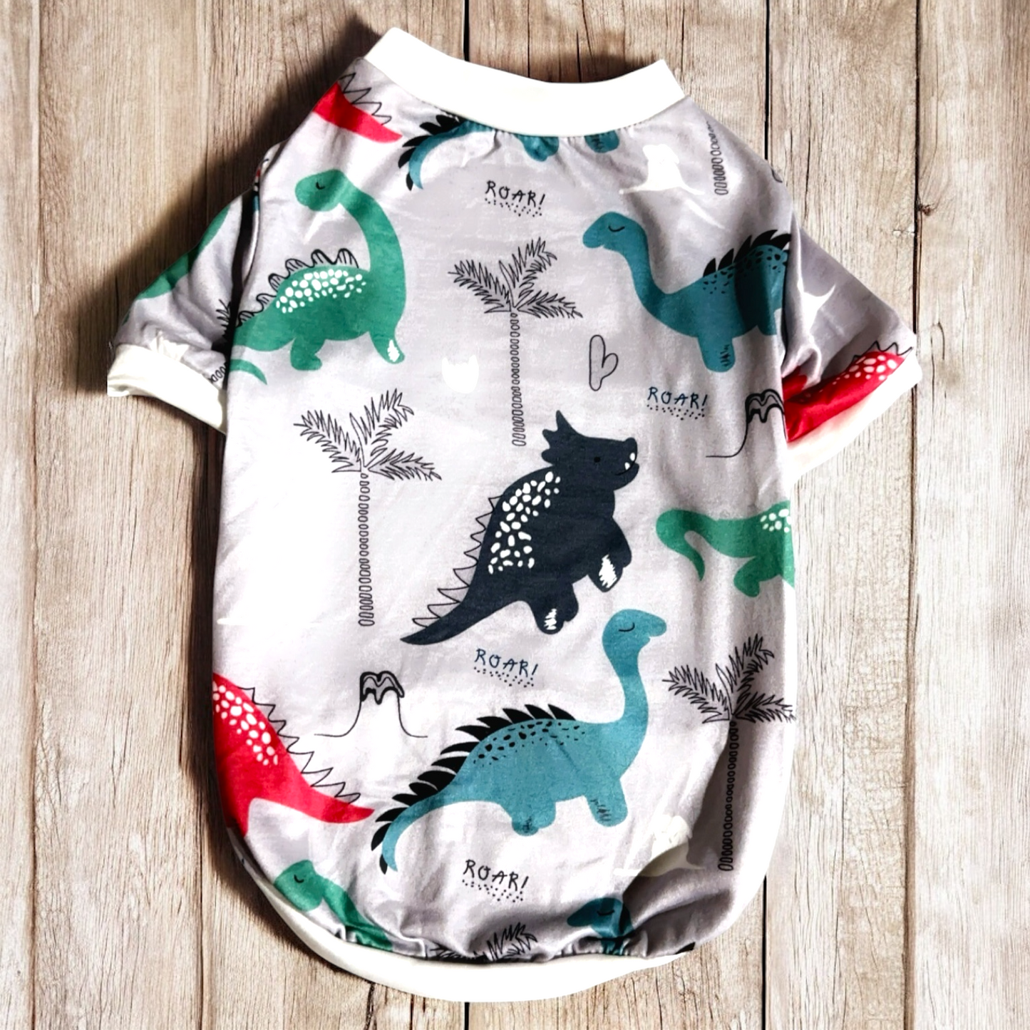 Dinosaur Roar Shirt