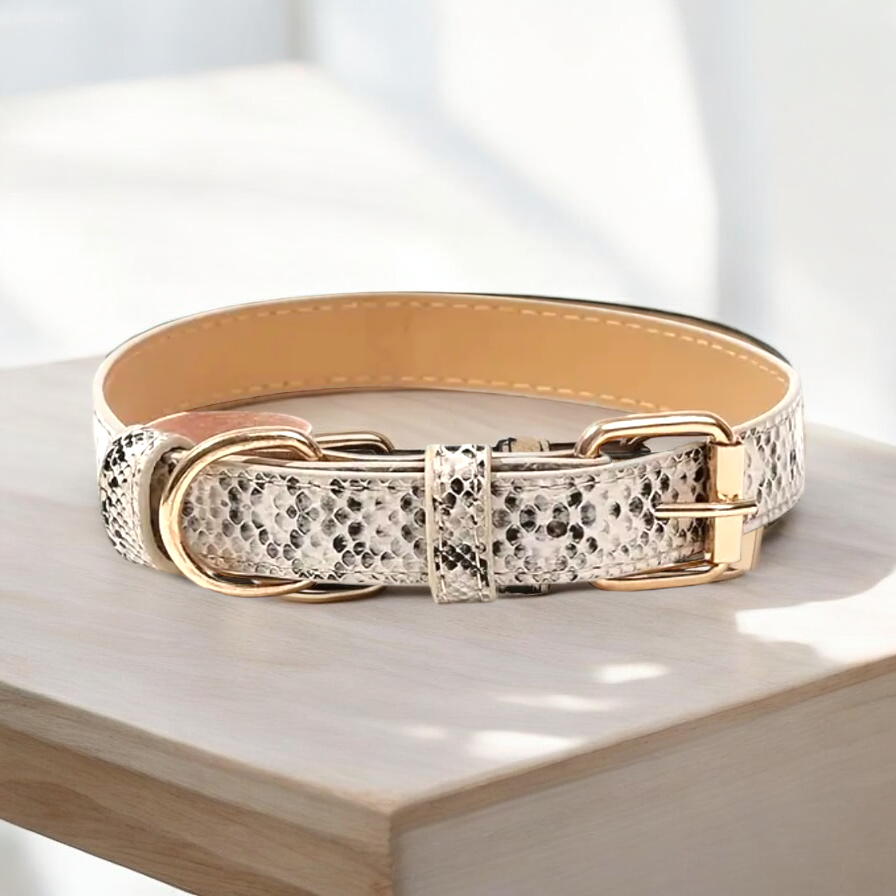 Snake Print Collar