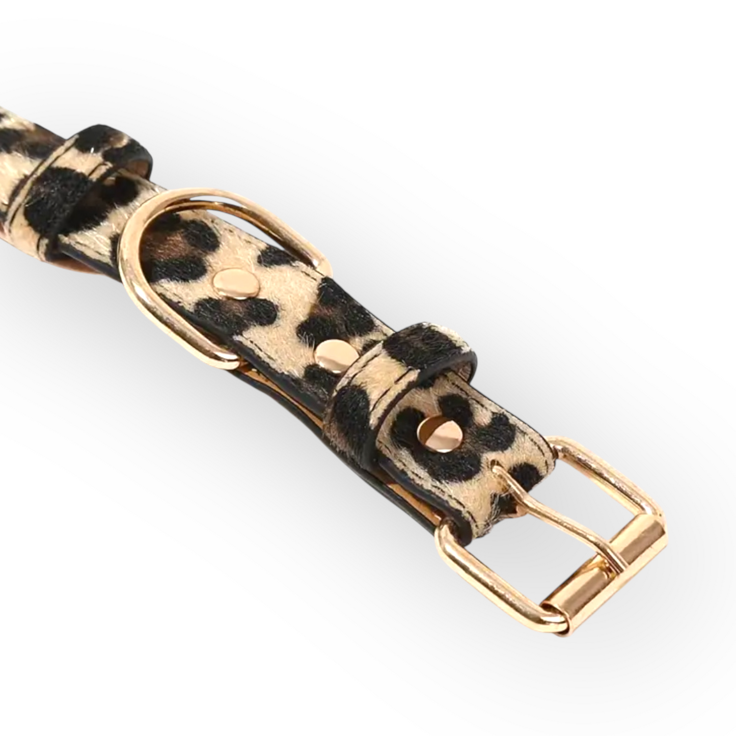 Leopard Print Collar