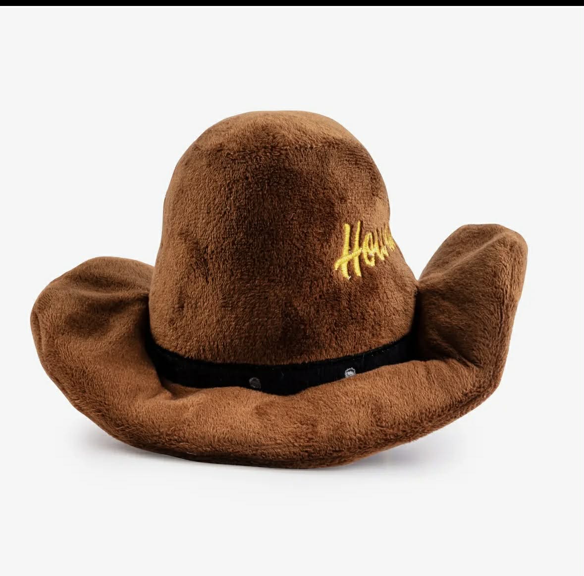 Howdy Cowboy Hat