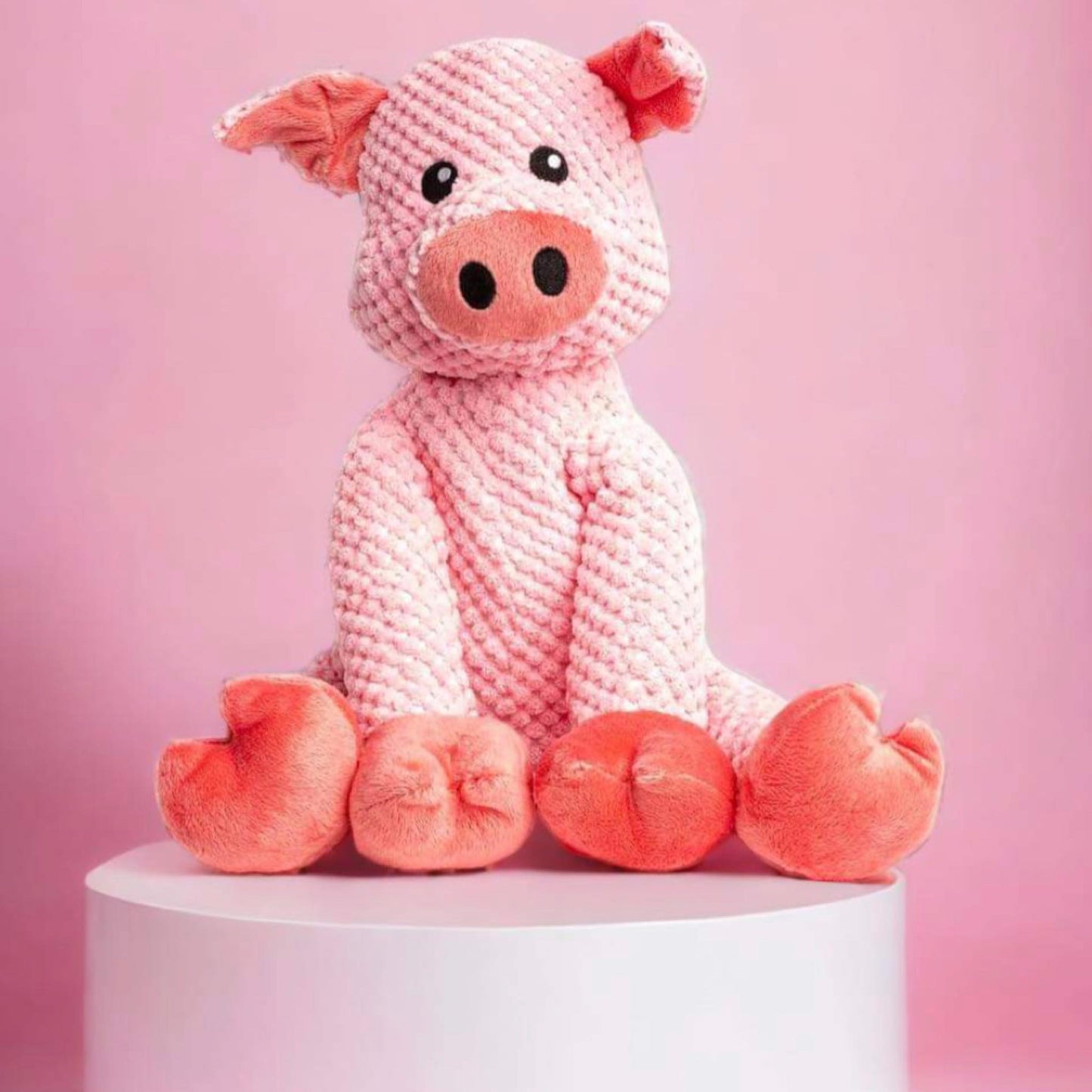 Floppy Pig Plush Dog Toy