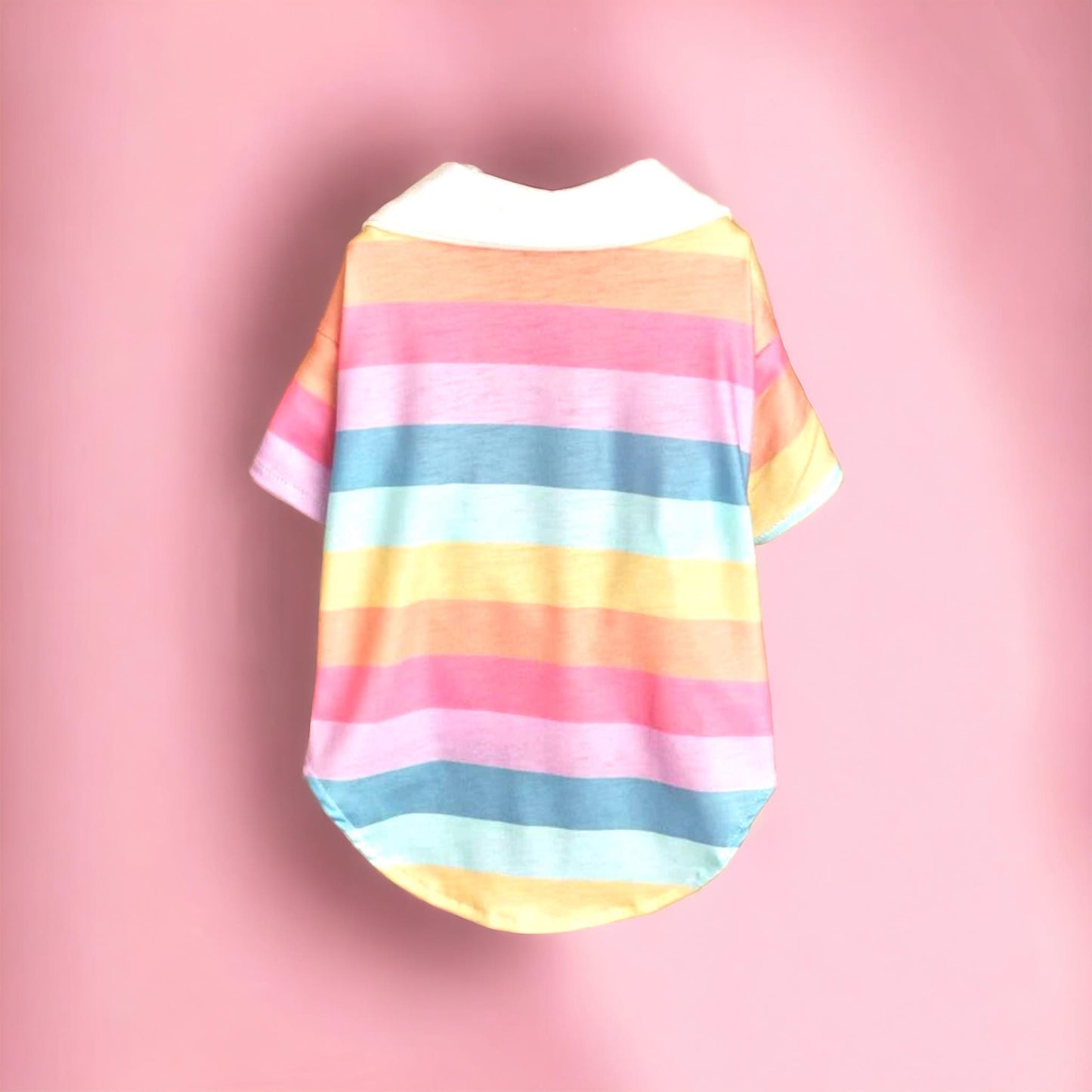 Rainbow Striped Polo Shirt