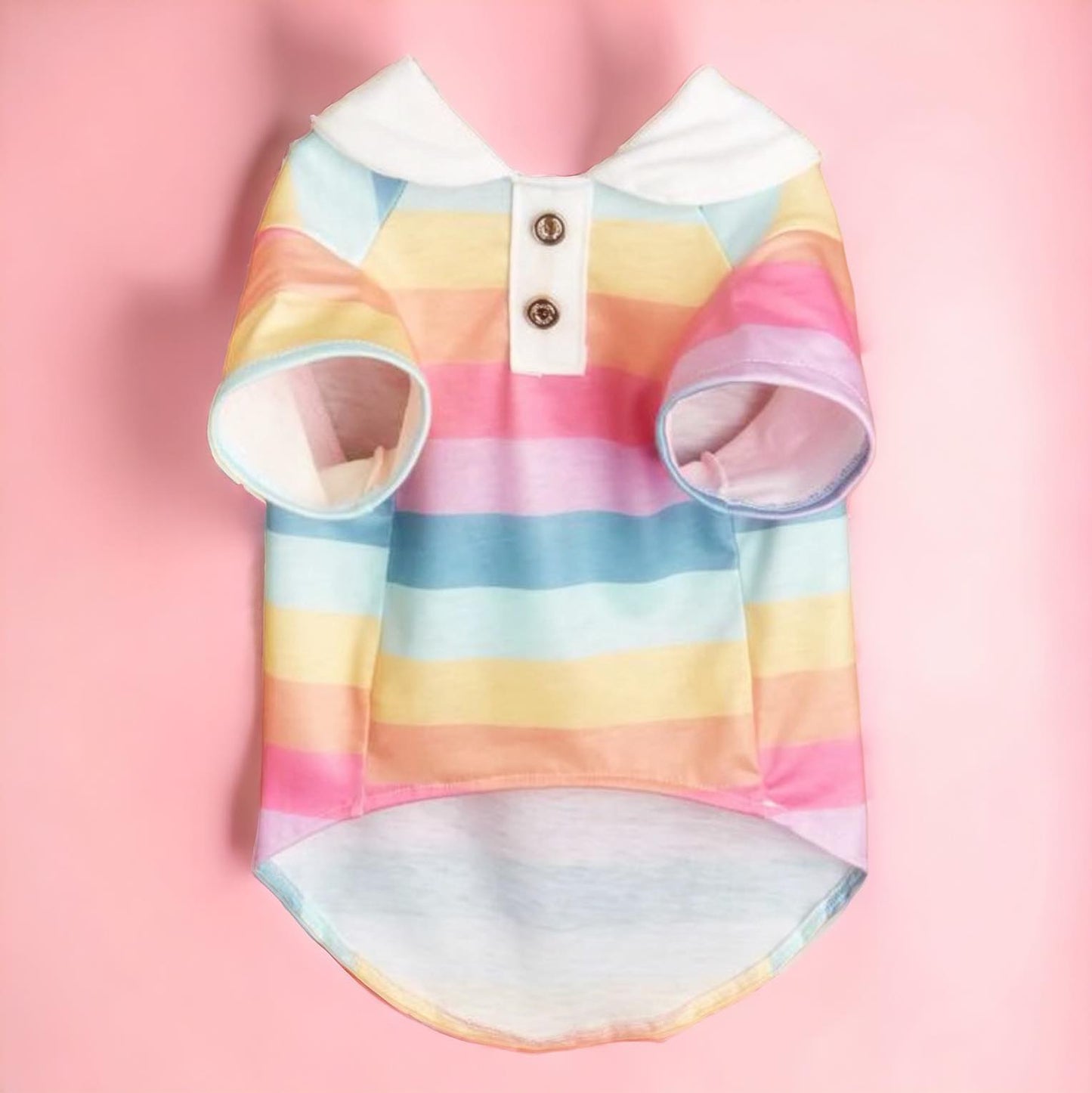 Rainbow Striped Polo Shirt