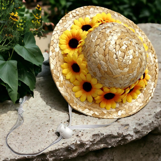 Cover Me In Sunshine Hat