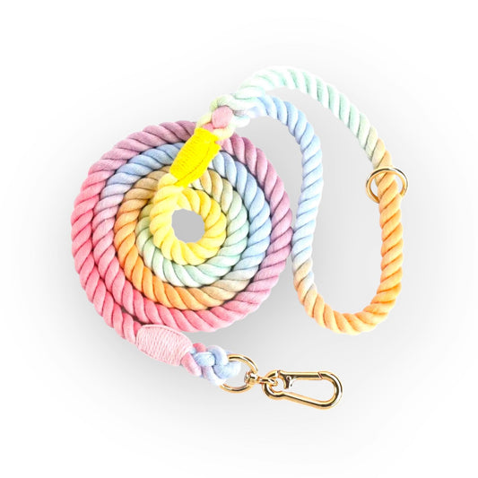 Braided Rope Leash