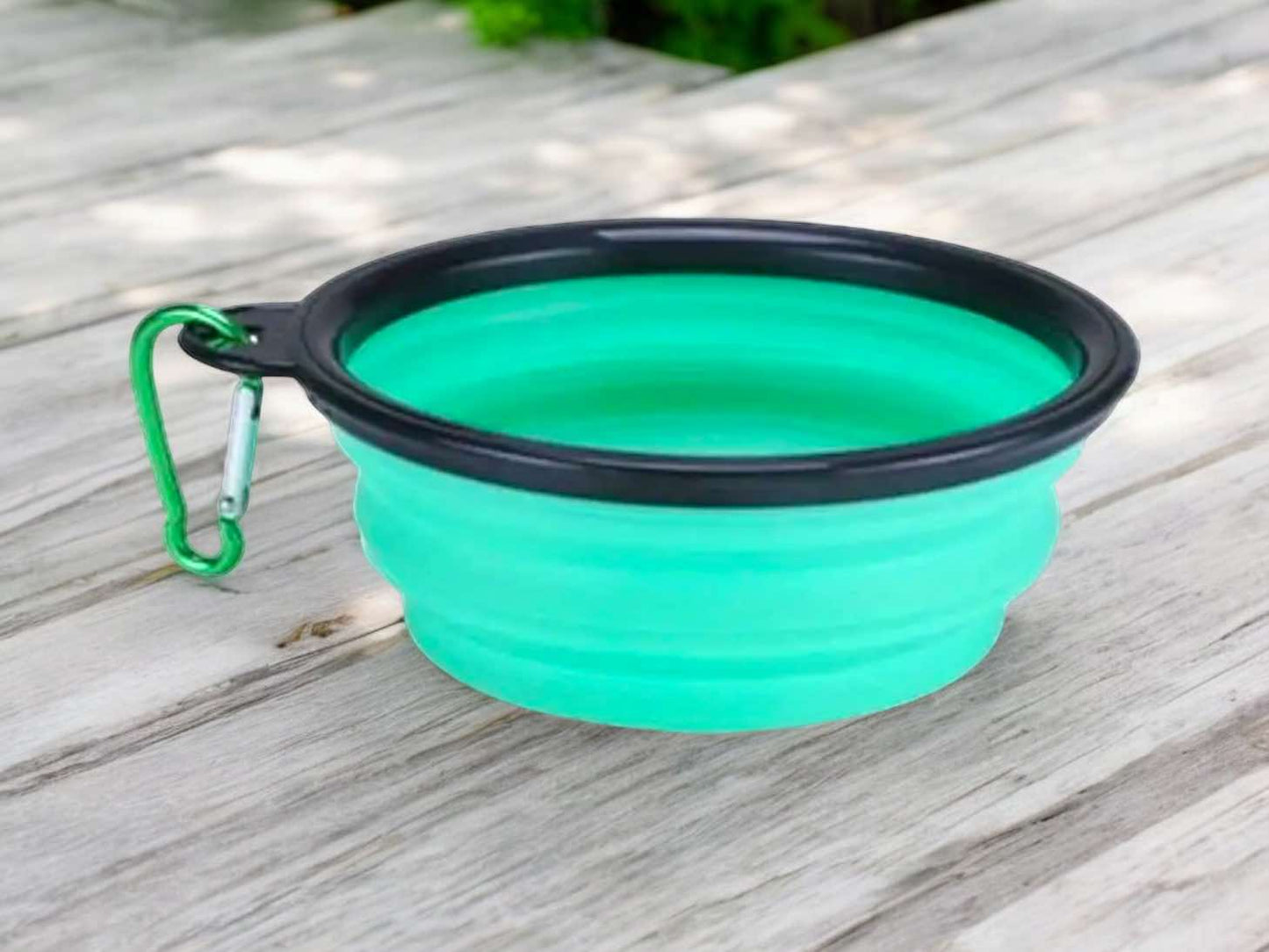 Collapsible Travel Bowl