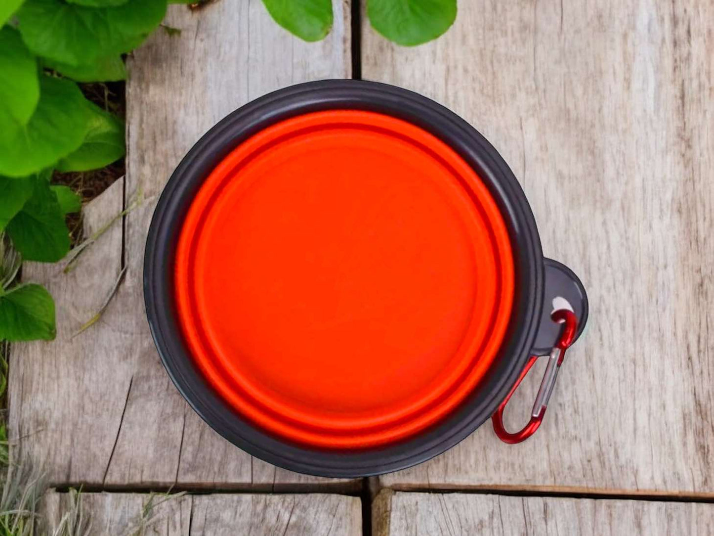 Collapsible Travel Bowl