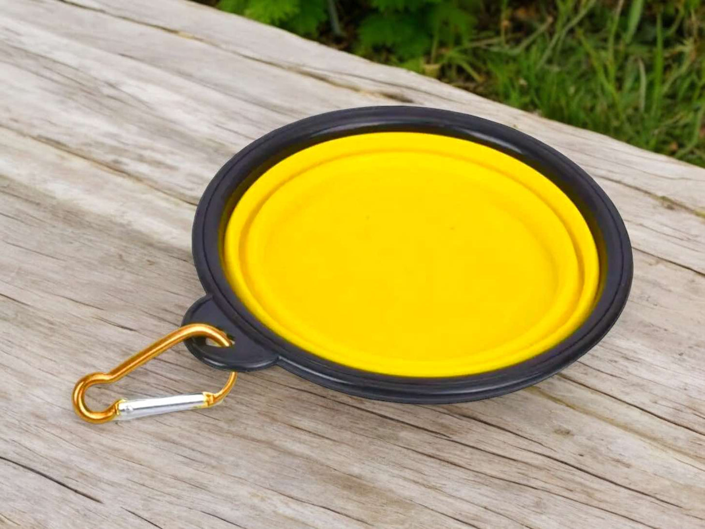 Collapsible Travel Bowl