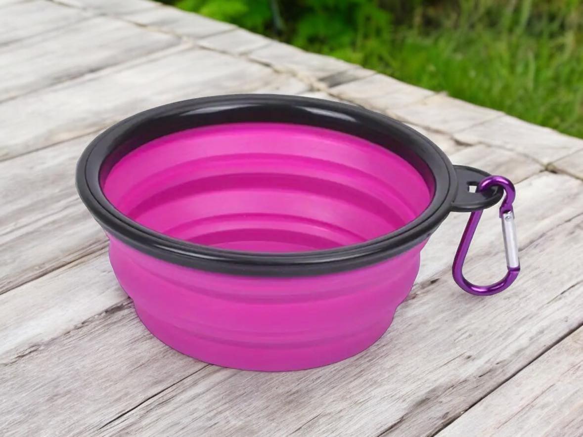 Collapsible Travel Bowl