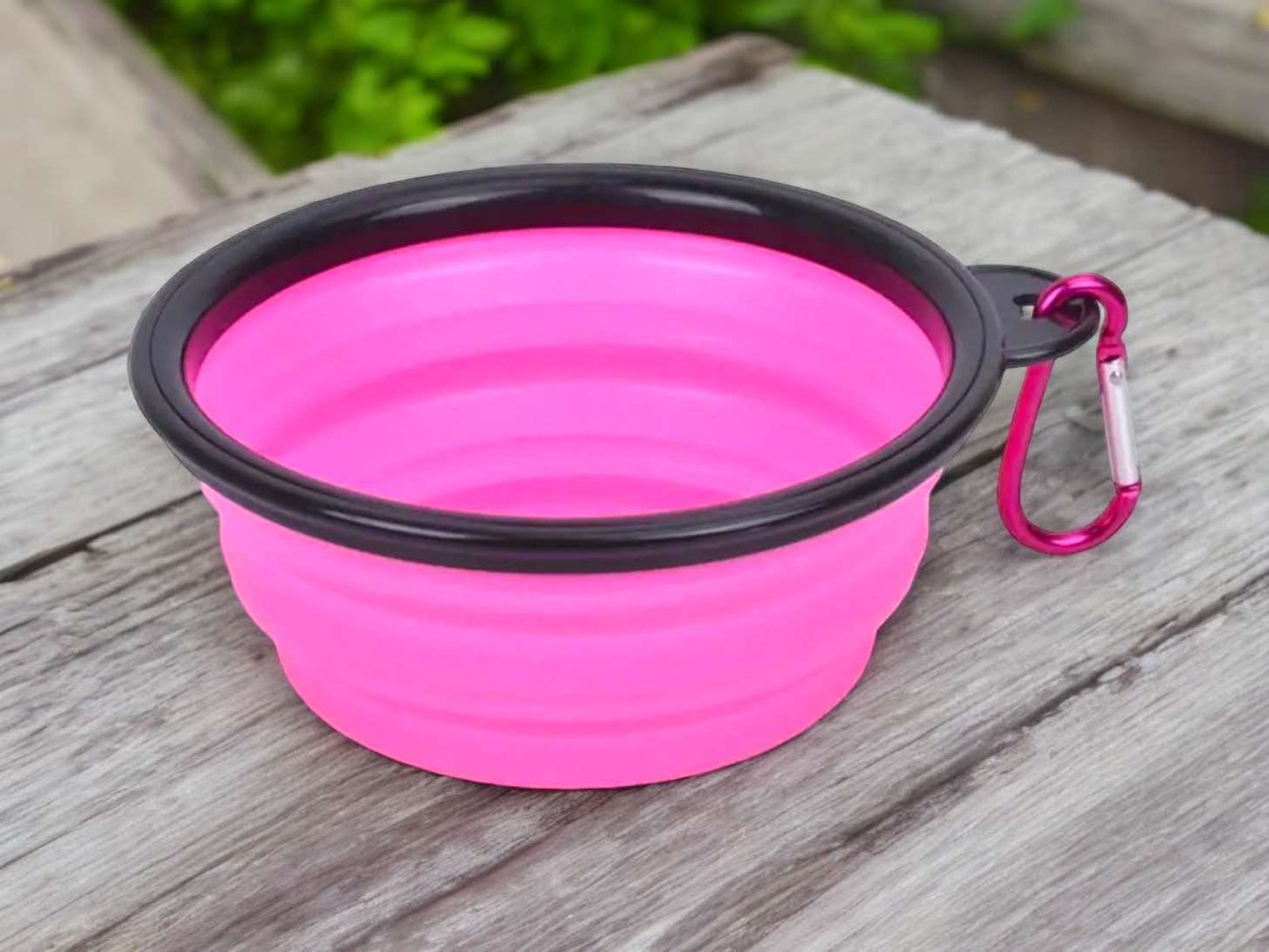 Collapsible Travel Bowl