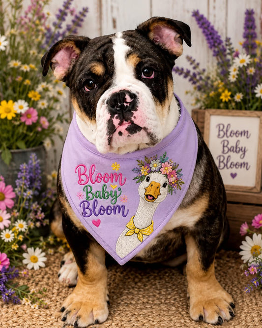 Bloom Baby Bloom
