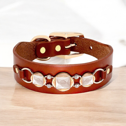 Genuine Leather Collar with Gold Attachments